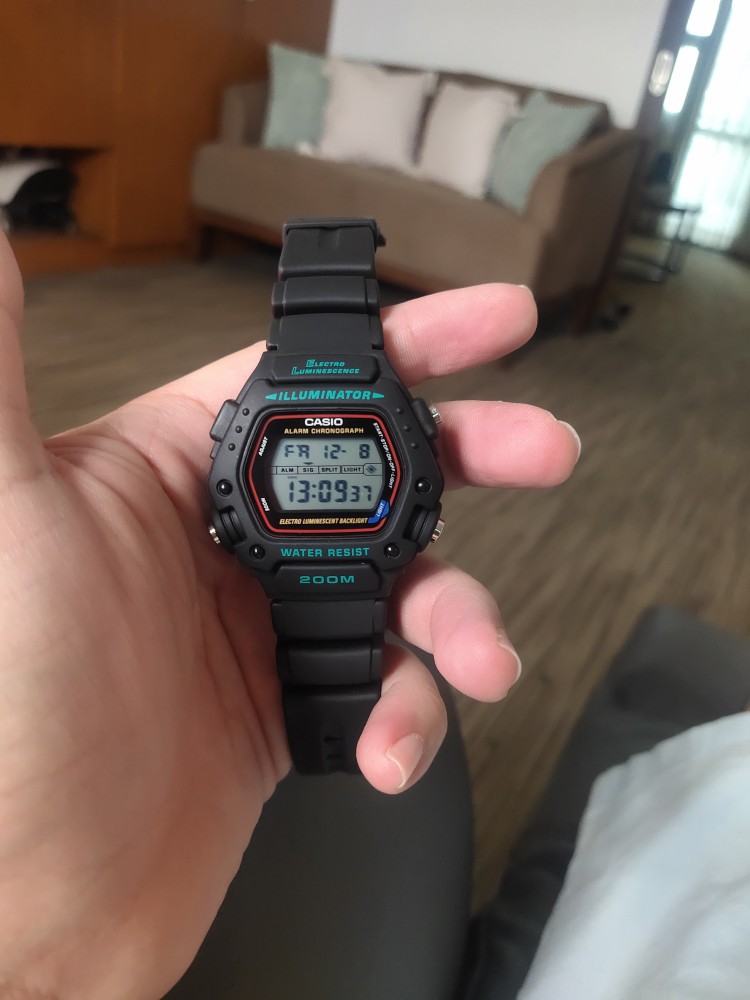 Dw 290 online casio