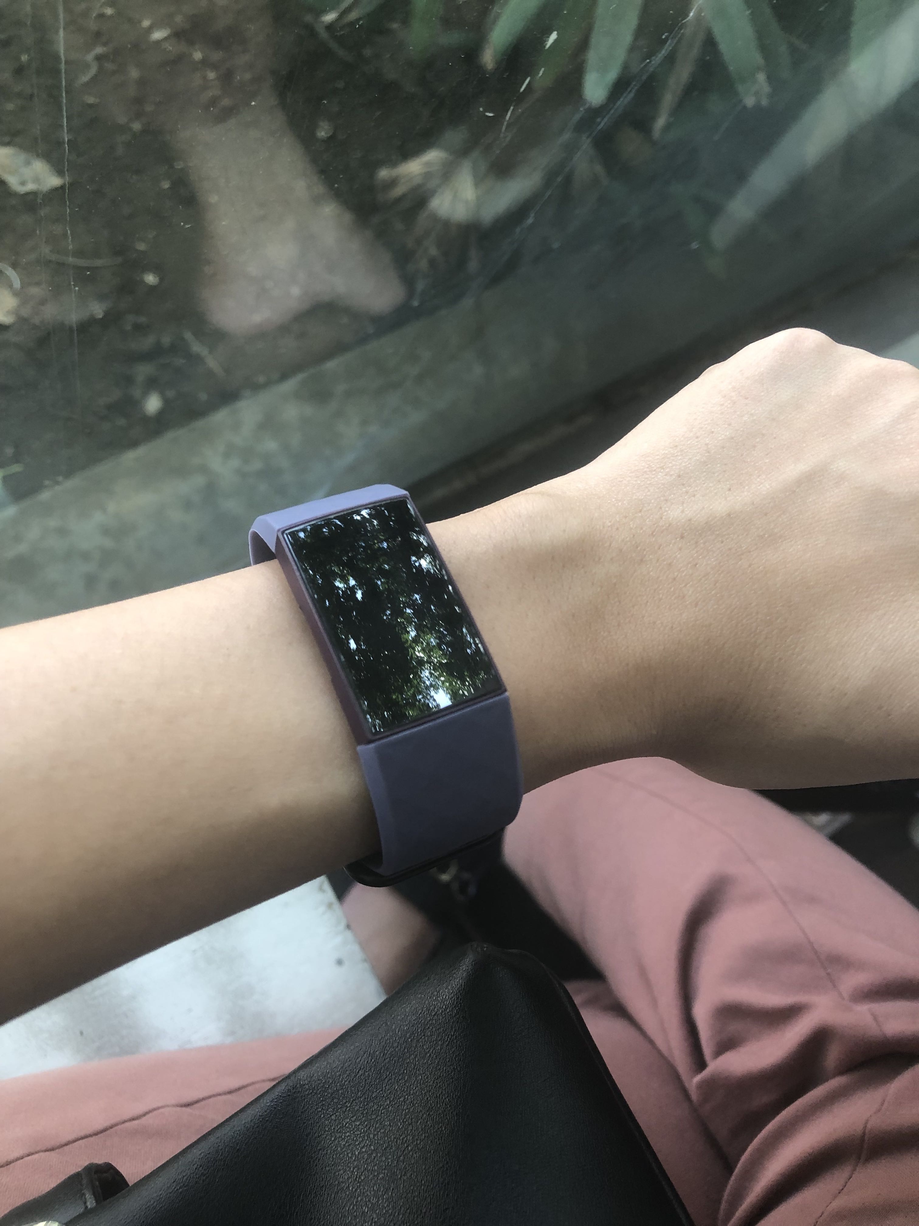 Fitbit charge 3 online small wrist