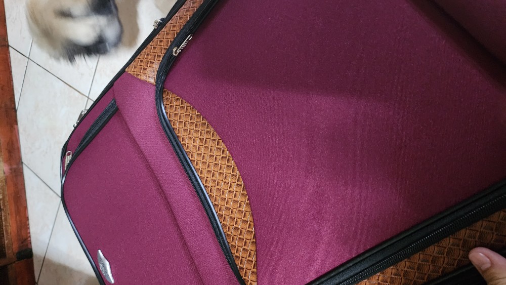 Aggregate more than 108 sinomate trolley bag best kidsdream.edu.vn