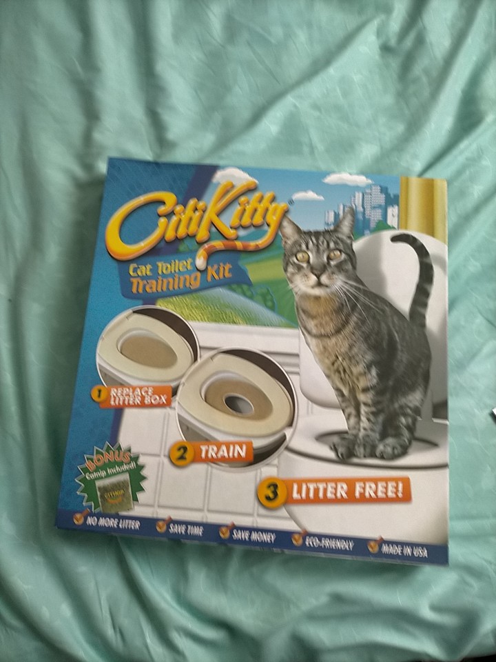 City kitty potty fashion training