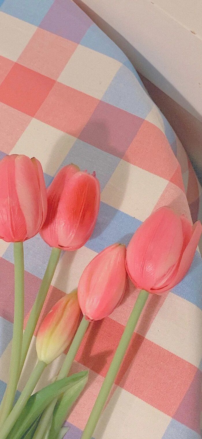Thỏa sức tùy biến điện thoại của bạn với hình nền hoa tulip. Hình ảnh sẽ mang đến cho bạn cảm giác tươi mới và thoải mái mỗi khi mở điện thoại. Bạn có thể lựa chọn giữa nhiều màu sắc khác nhau của hoa tulip để phù hợp với phong cách của mình. Hãy click vào hình ảnh để khám phá và tải về ngay hôm nay.