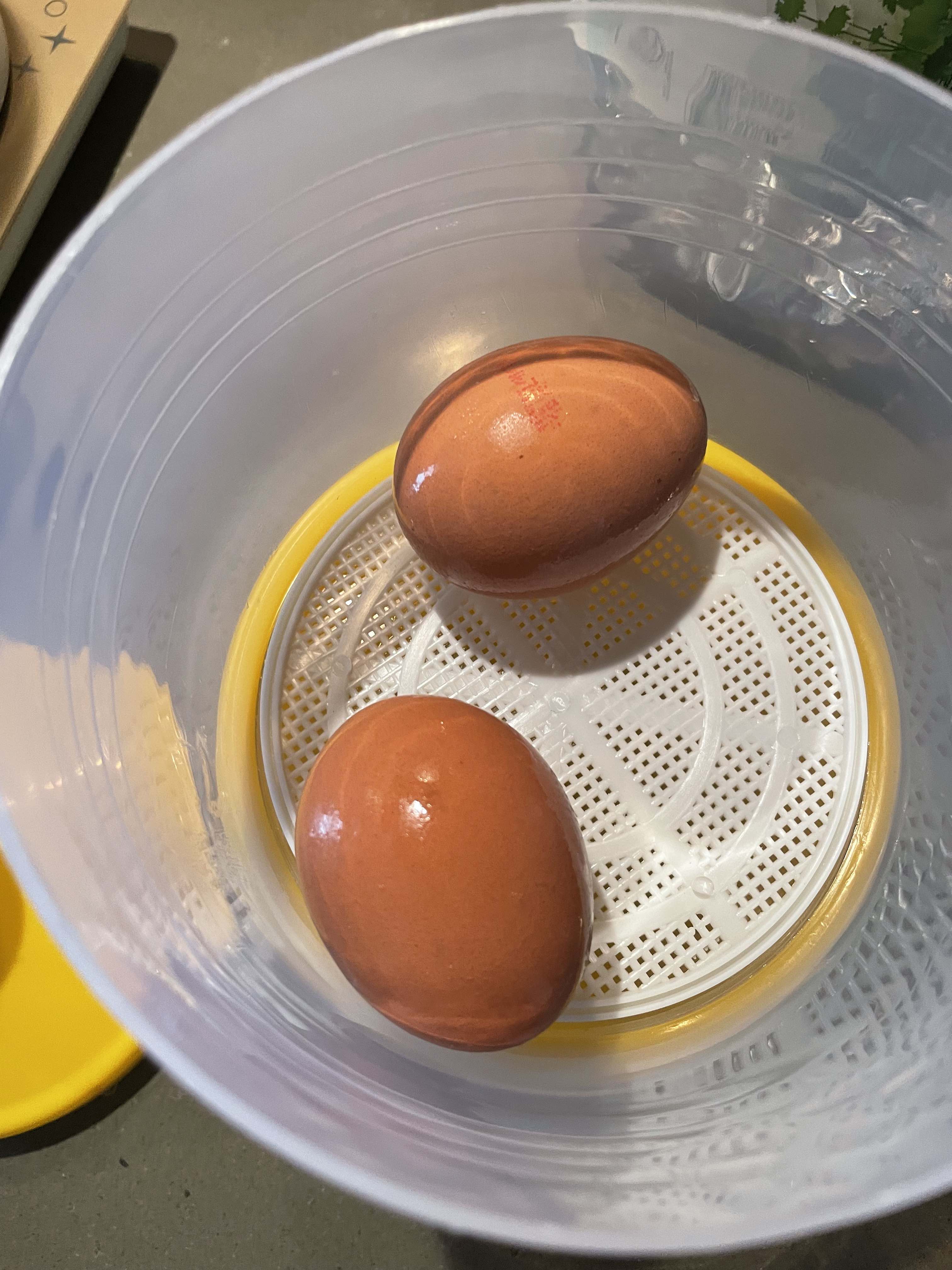 Half Boiled Egg Maker/Bekas Telur Separuh Masa/ 半 生熟蛋器