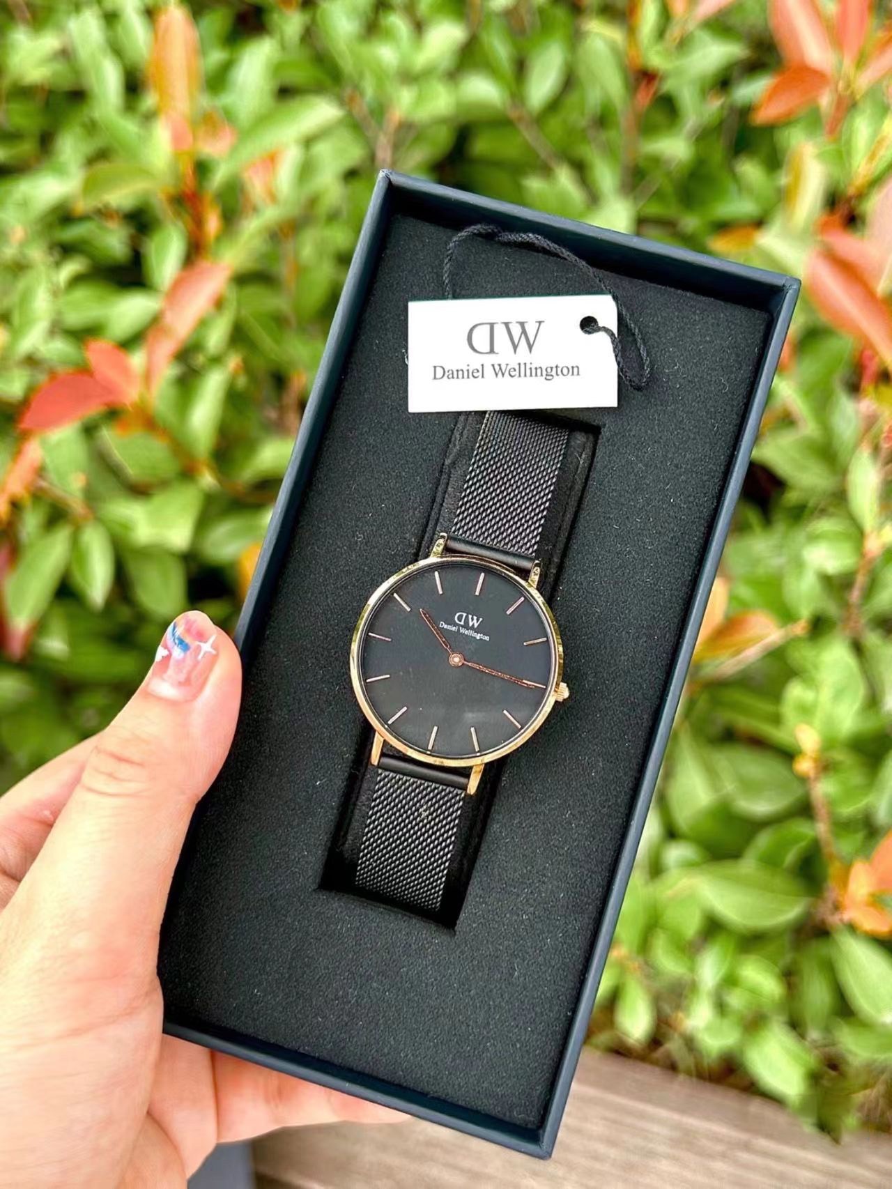 Dw classic outlet petite ashfield