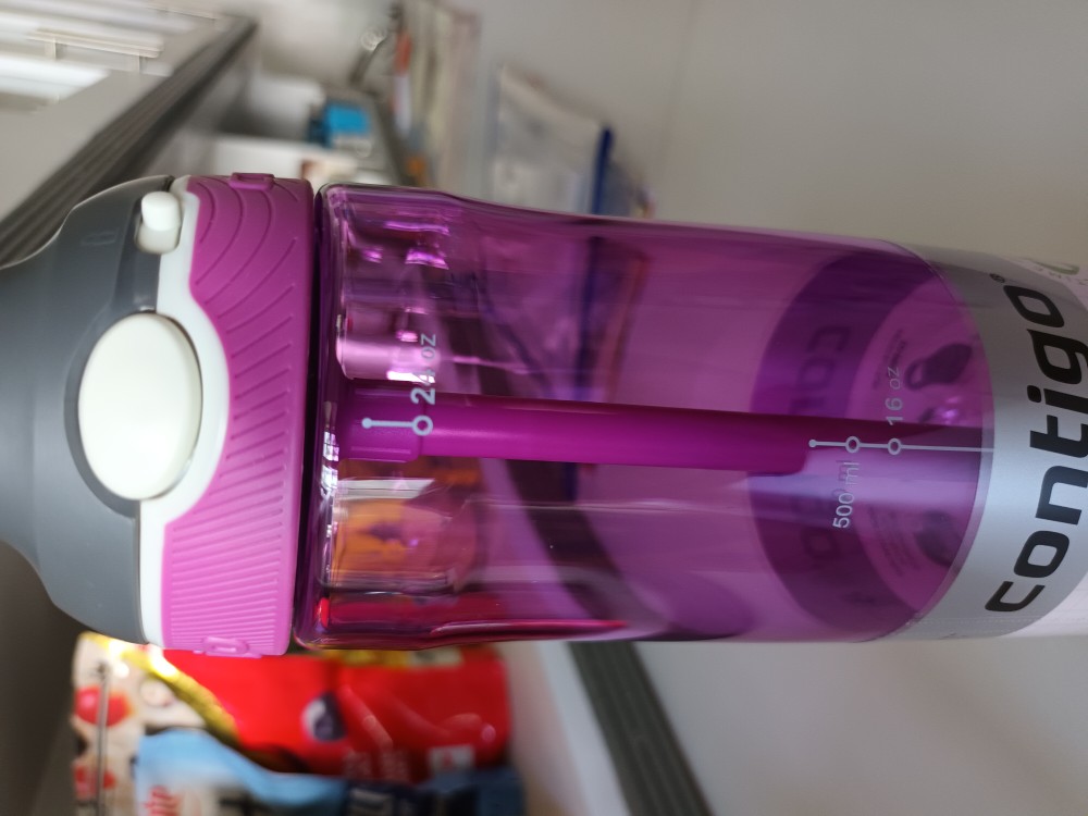 Best Buy: Contigo Purity 20-Oz. Glass Water Bottle Radiant Orchid 73100