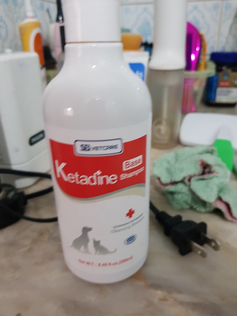 KETADINE CLEANSING SHAMPOO FOR DOGS AND CATS 250ML Lazada PH