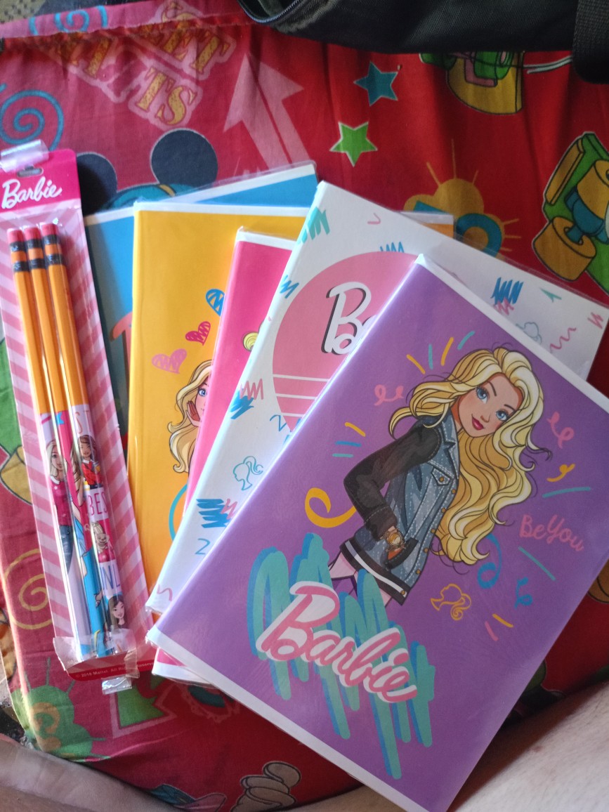 Barbie notebooks best sale for school