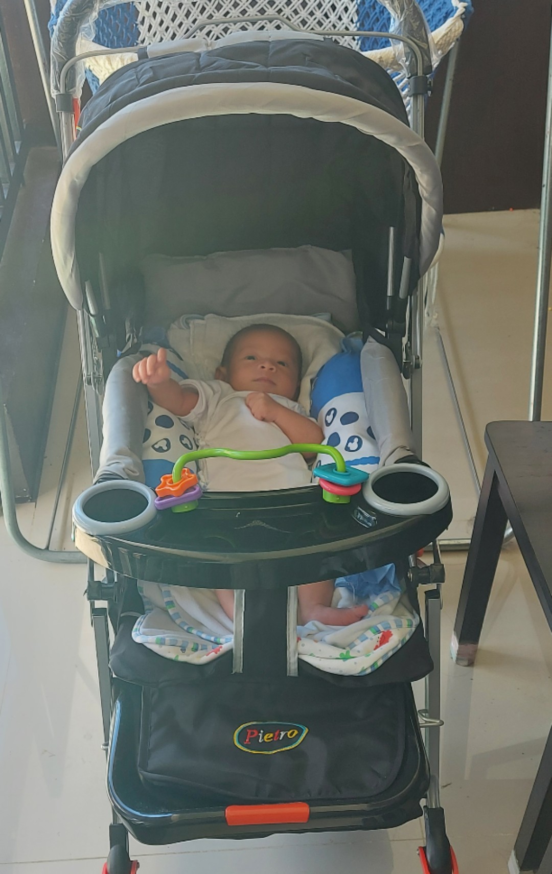 pietro stroller price
