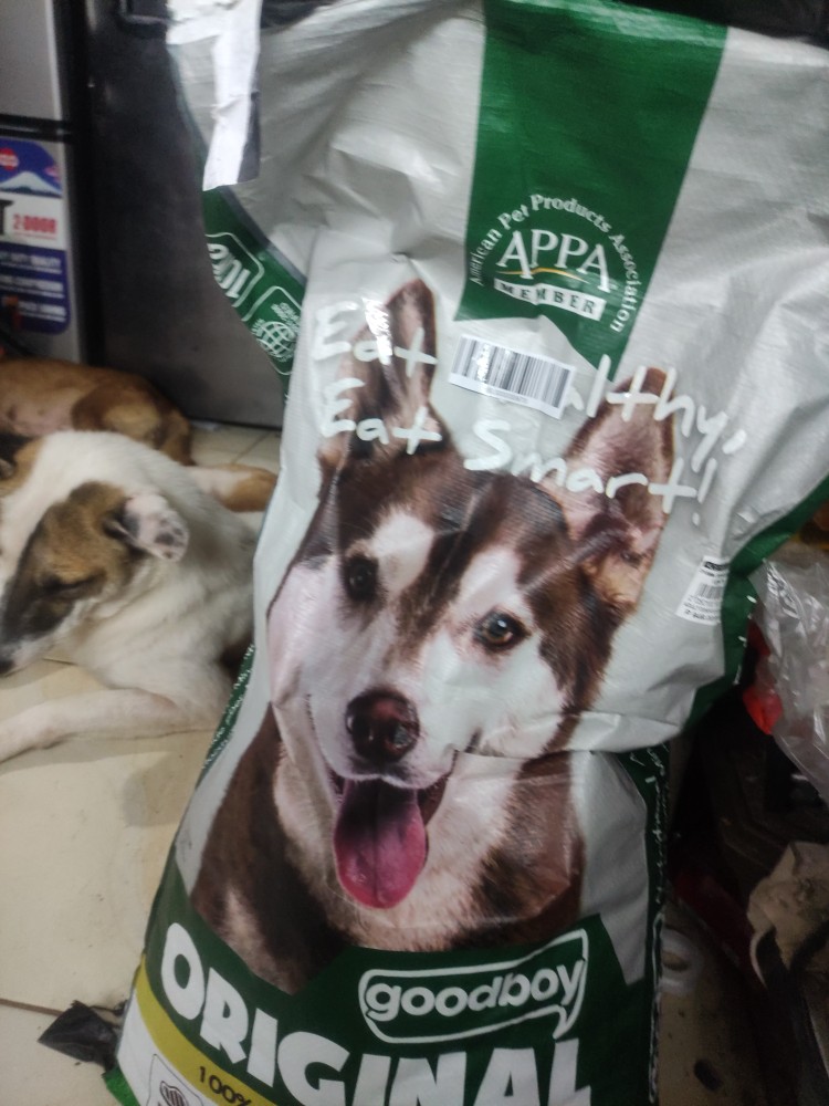 Good boy dog hotsell food ace hardware price