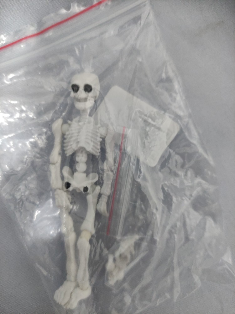 Scheletro Mr. Bones Snodabile 9cm - Giocattolo Horror Per Halloween, Corpo Umano Rimovibile - Foto 1