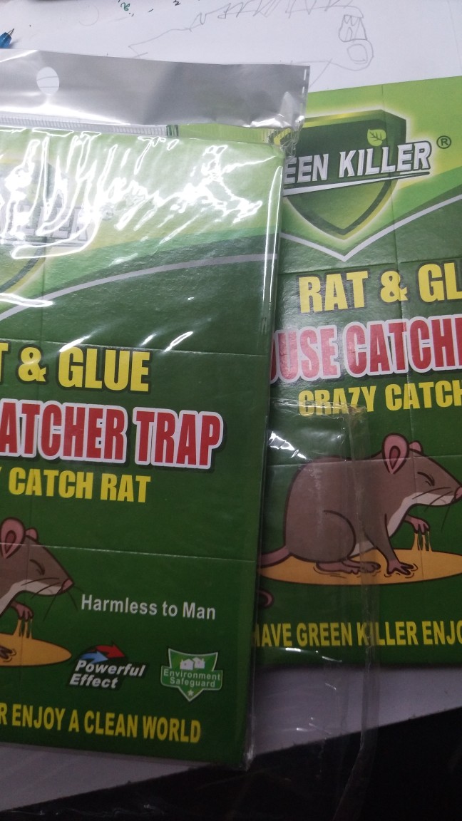 Green Killer Mouse & Rat Sticky Glue Trap Board Pest Control Rats Catcher  Papan Pelekat Tikus