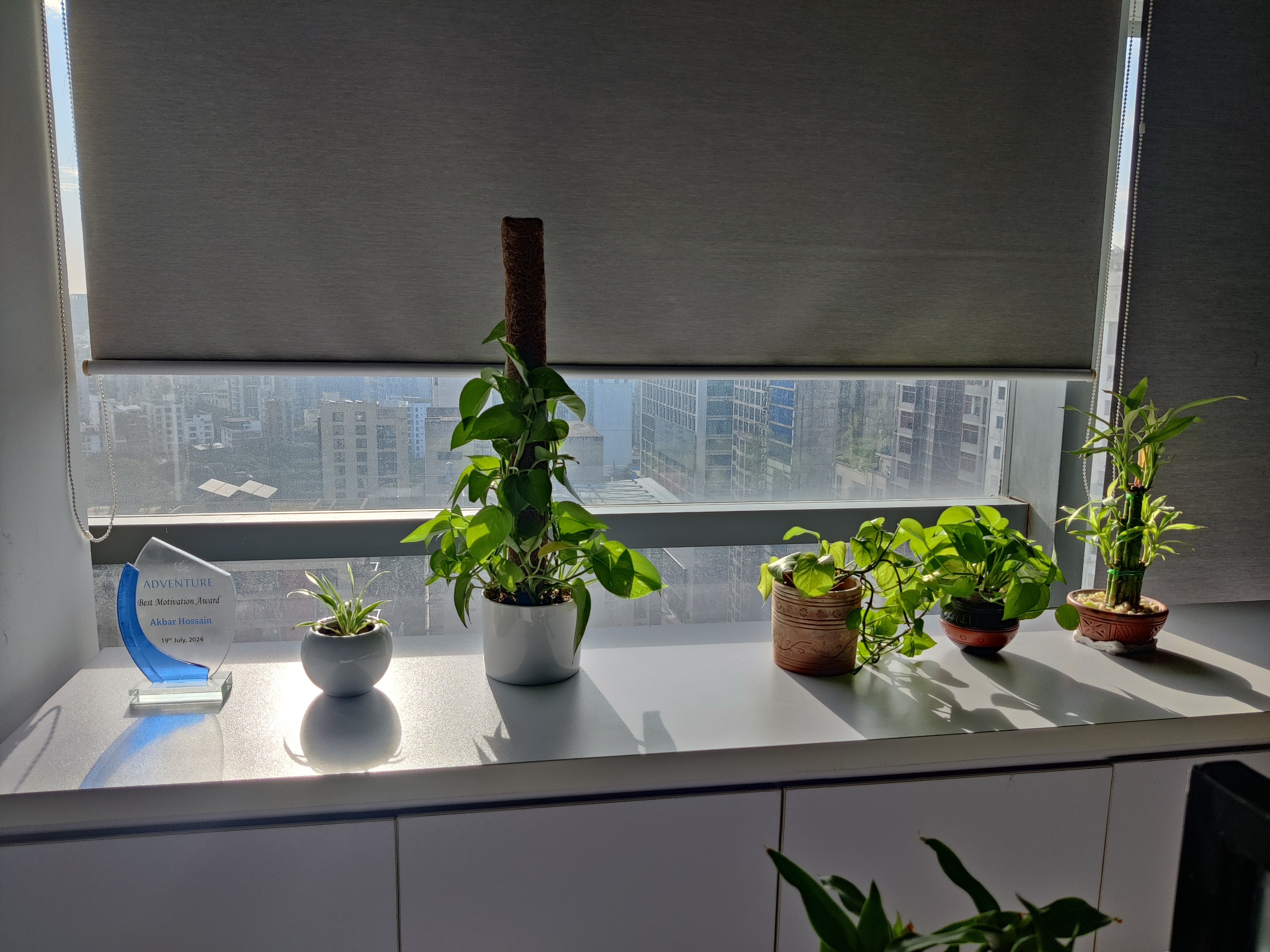 Customer review photo