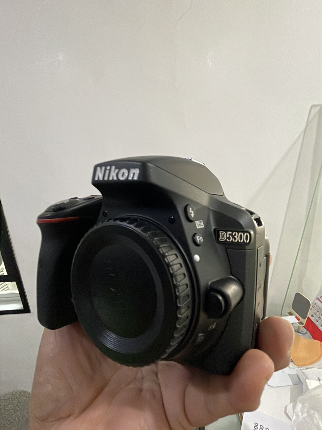 Nikon D5300 DSLR Camera with AF-P 18-55mm VR Lens | Lazada Singapore