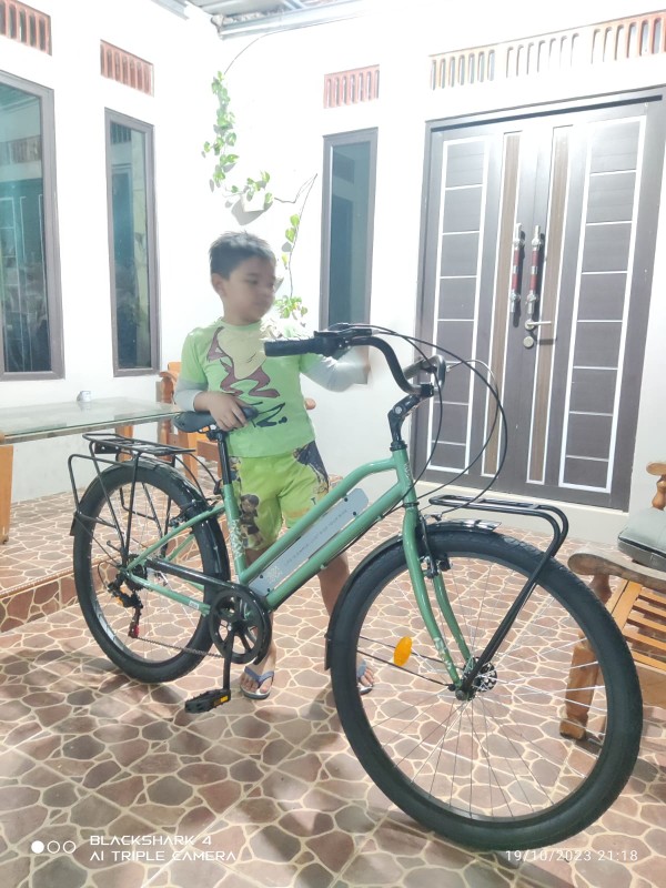 SEPEDA CITY BIKE 26 inch ELEMENT BERGAMONT Lazada Lazada Indonesia