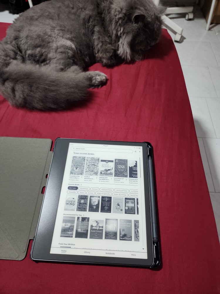 Review media