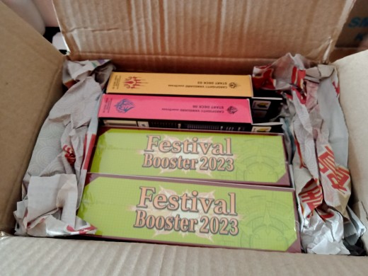 festival booster 2023 booster box Vanguard DZ-SS08 Festival Booster Box 2025 main image 0