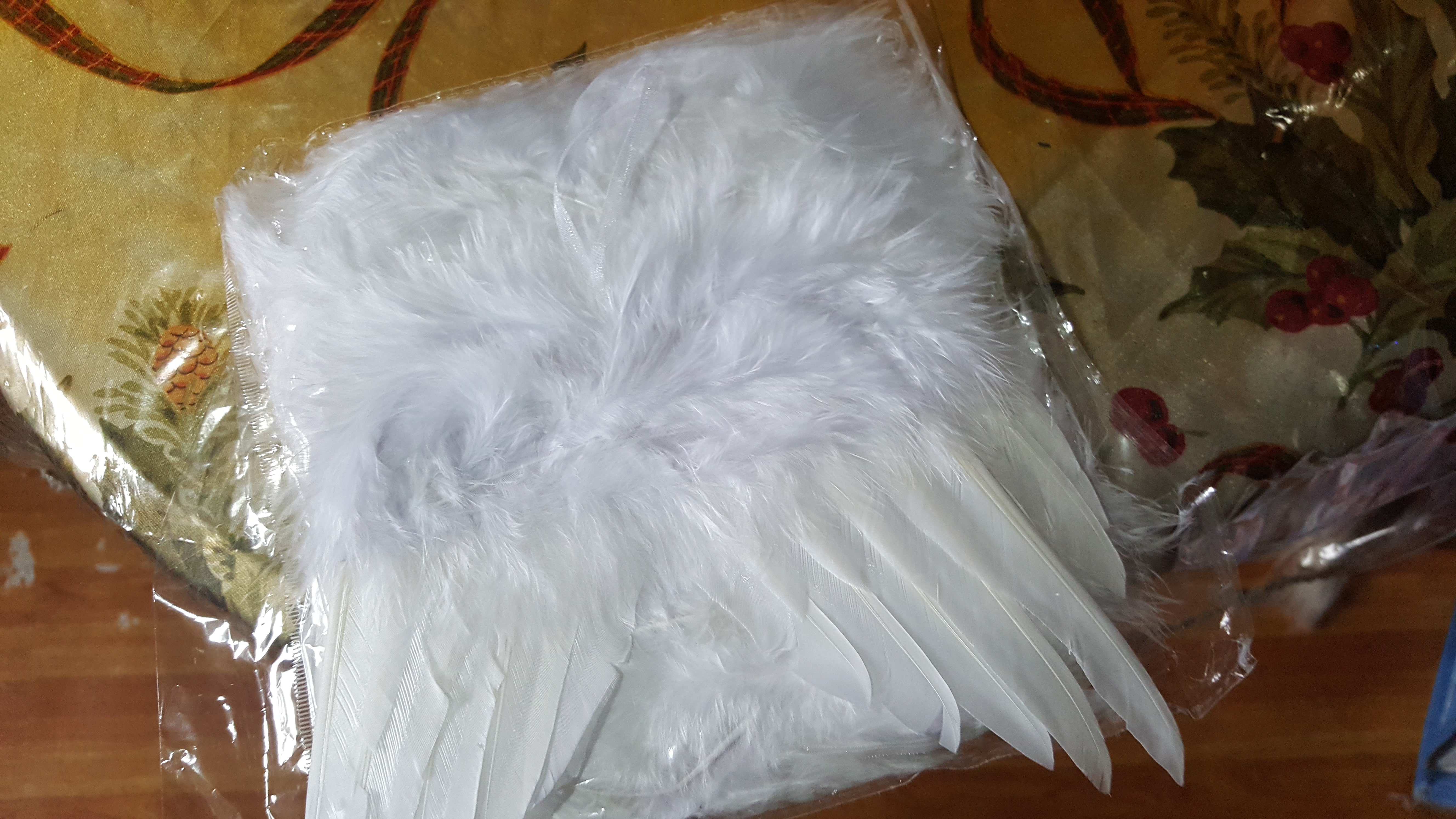 Angel Wing Ornament – Angel Feather Wings for Crafts 10 Pack White