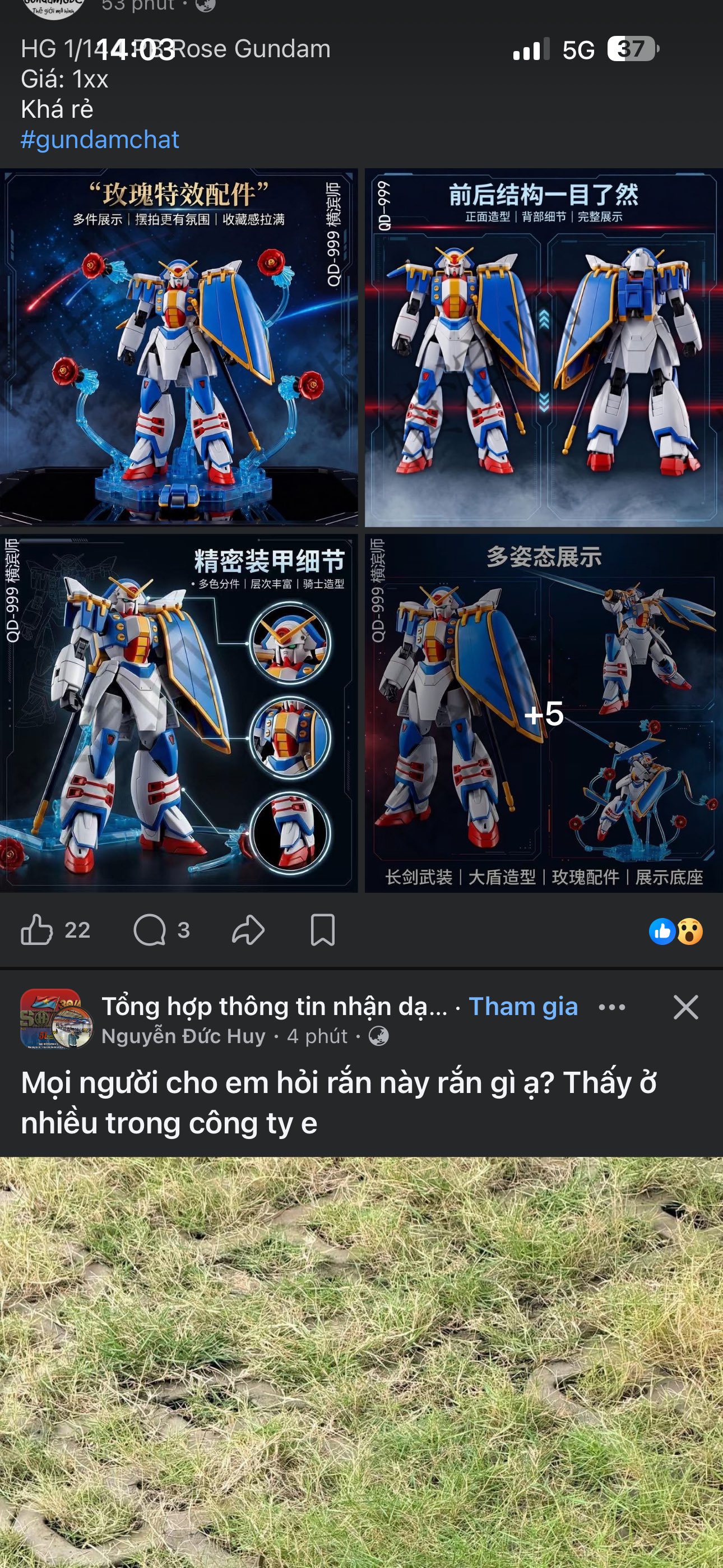 Ảnh đánh giá