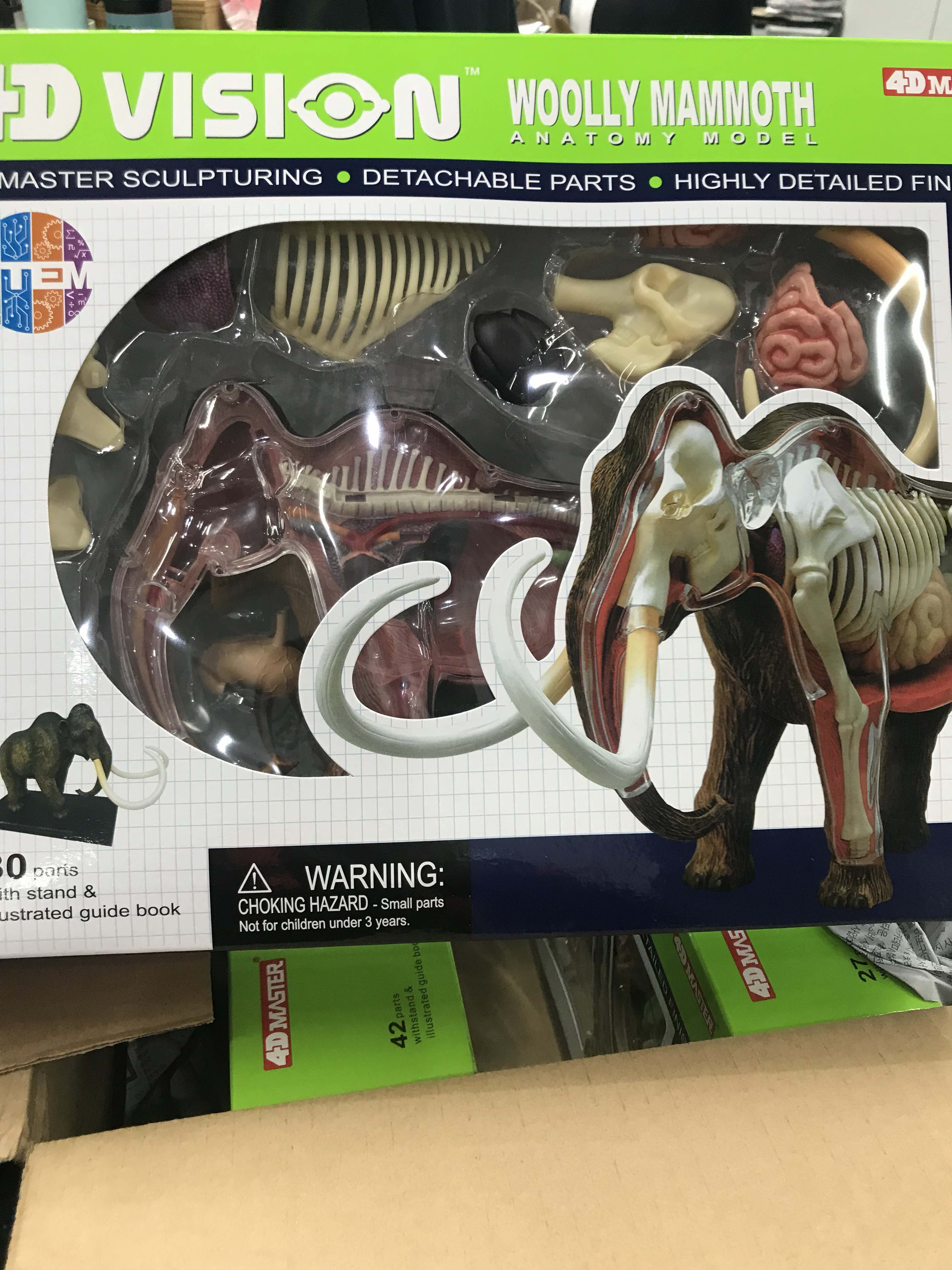 4D Vision หุ่นจำลองช้างแมมมอธ มิติ