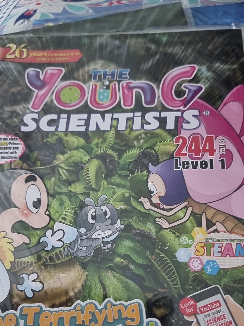 Young Scientists 2025 Level 1,2,3 and 4, Smart Mathematicians