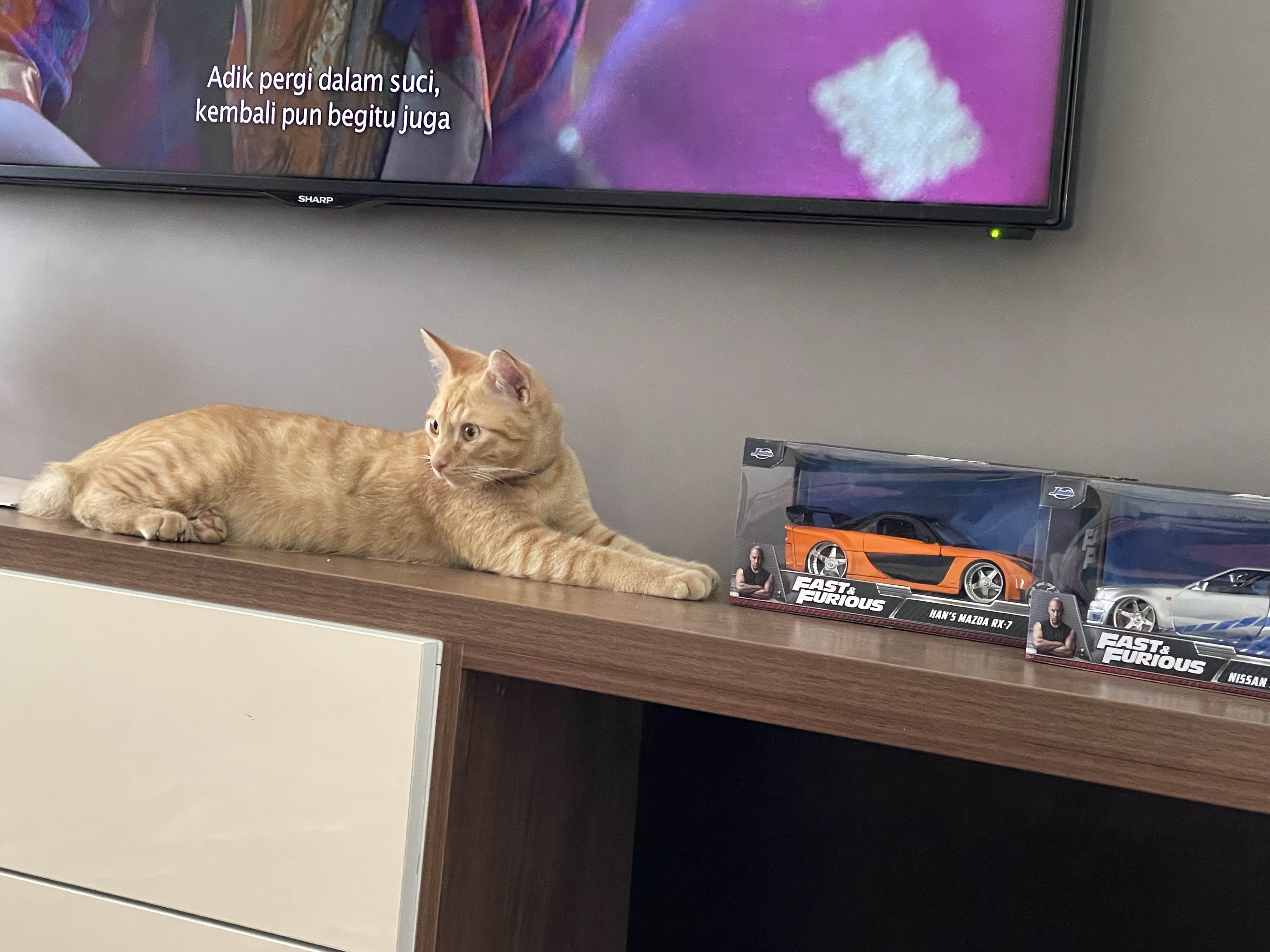 JADA 1:24 FAST FURIOUS METAL DIE CAST HAN'S MAZDA RX-7 TOKYO