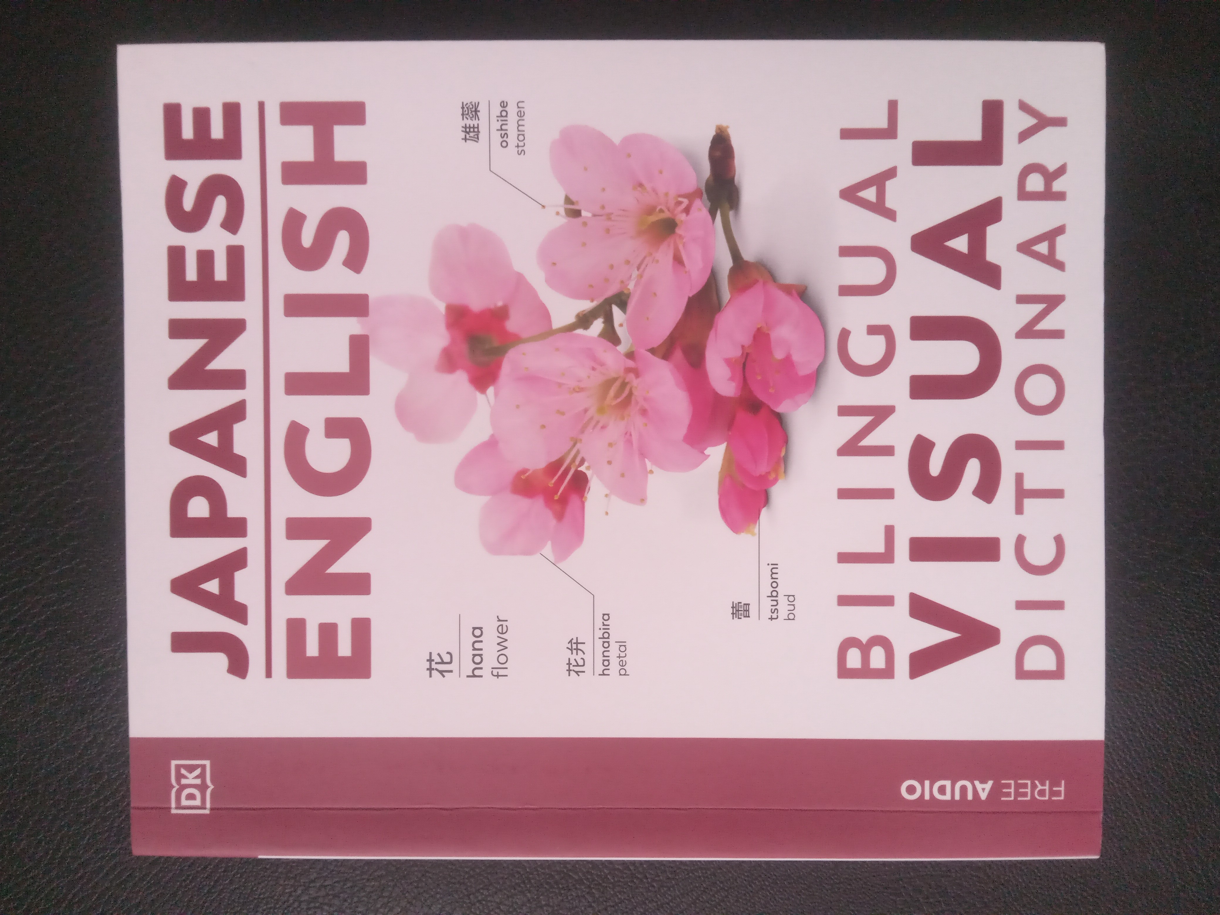 Japanese English Bilingual Visual Dictionary (DK Bilingual Visual