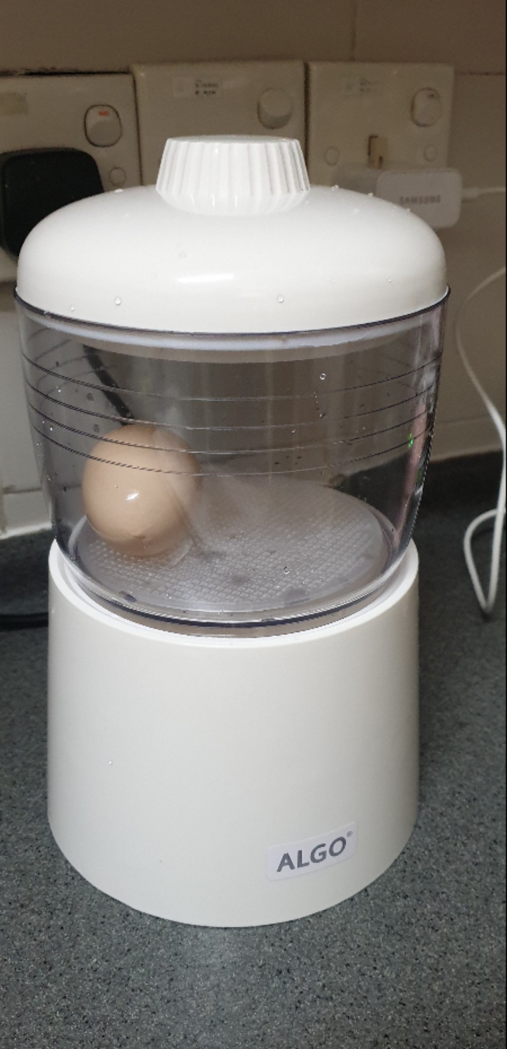 ALGO Half-boiled egg maker/ ice box, Furniture & Home Living