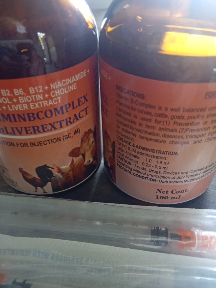 Vitamin B Complex w/ Liver Extract 100ml *Vetgen Store Only* | Lazada PH