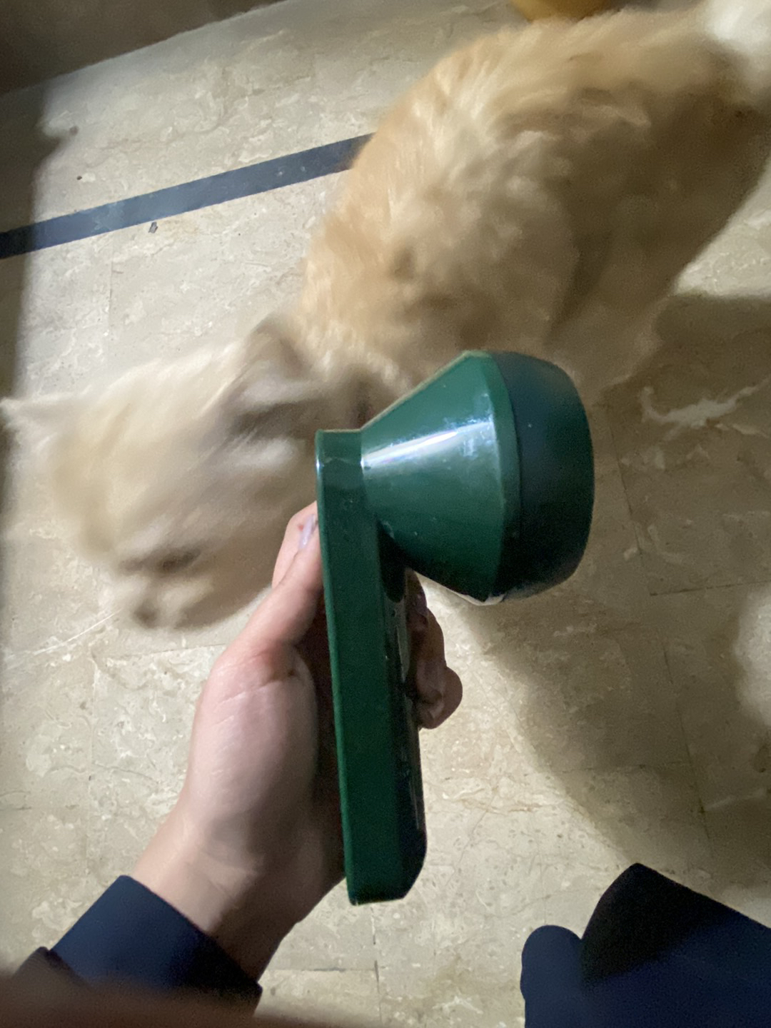 Review image from ujalapie