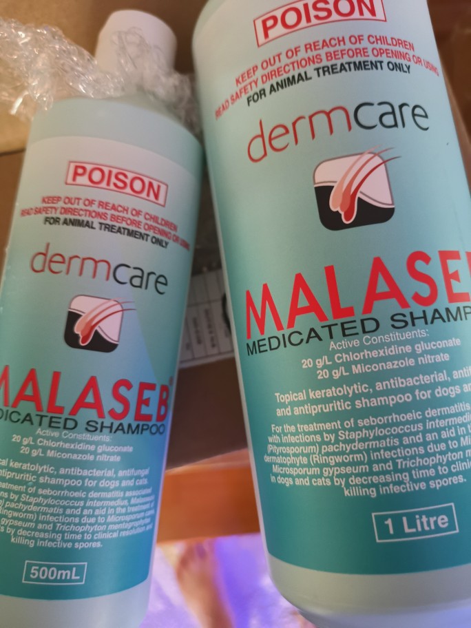 malaseb shampoo for cats