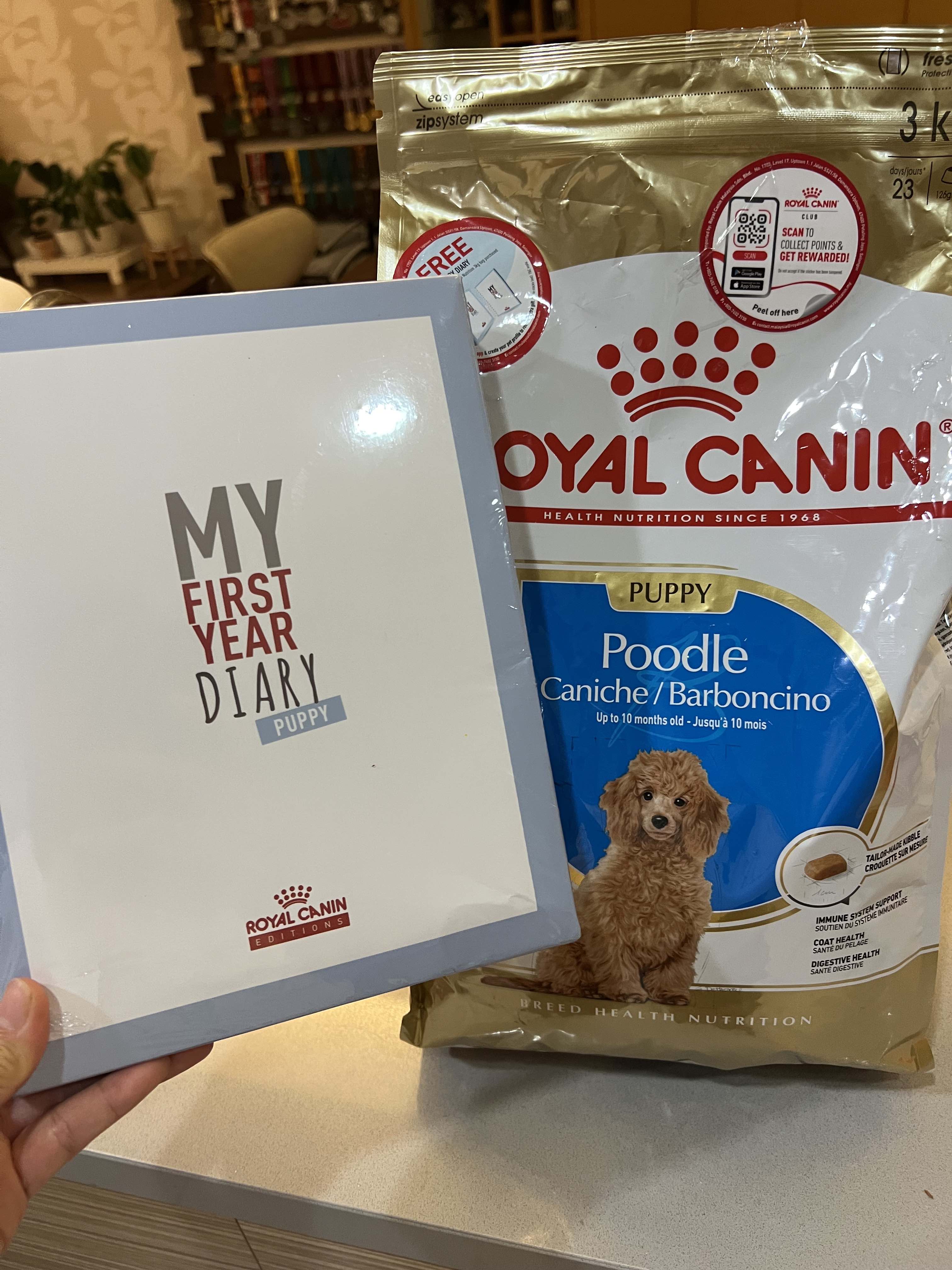 Royal canin poodle on sale puppy food review