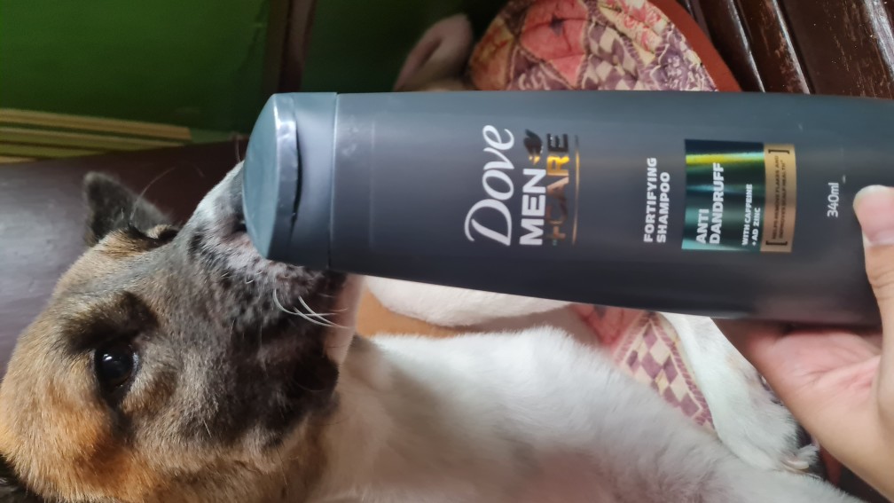 Dove shampoo for top dogs