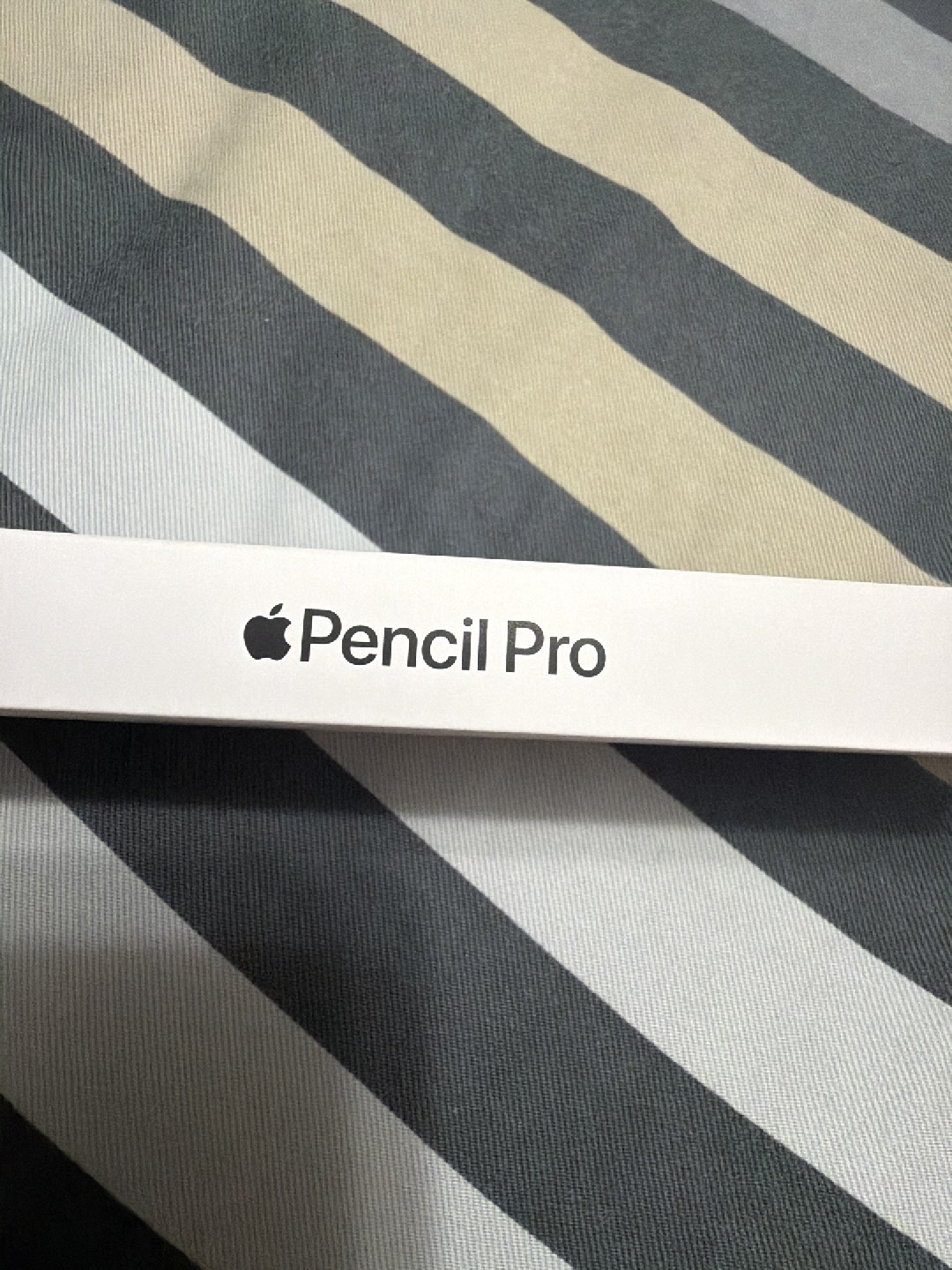 Apple Pencil Pro Apple Pencil Pro Price In India Prices Ipad Pro
