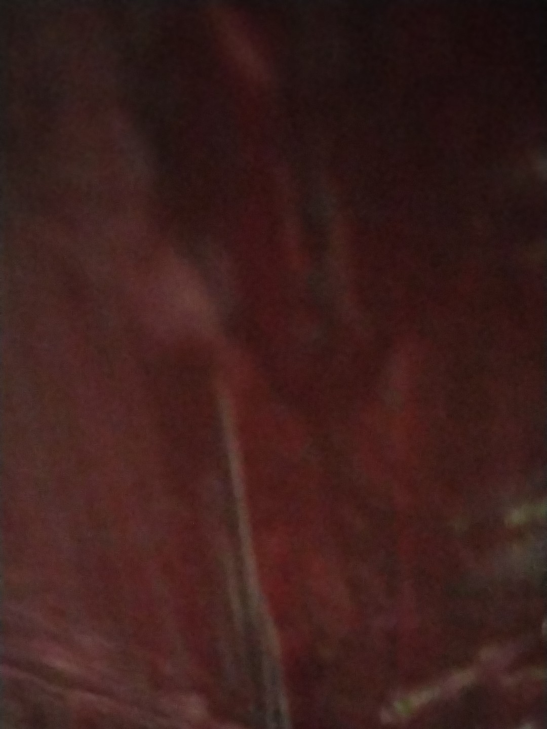 Жоғары сапалы жалаңаш фотосуреттерді қараңыз