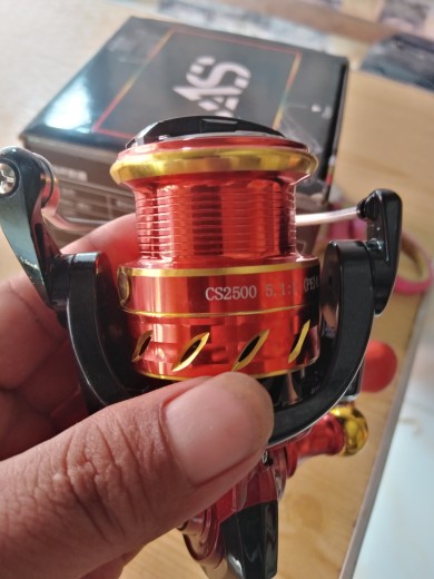 Bearking CS Red Lizard Long Casting Spinning Reel: One-Way Double