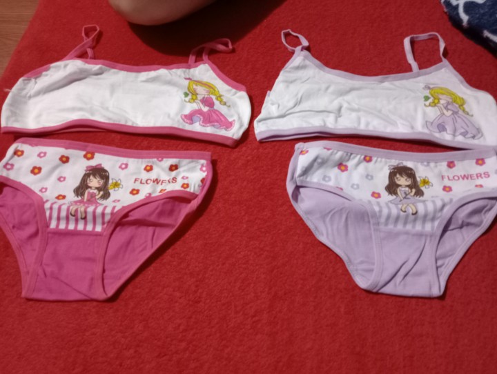 SMY 4 PCS Cotton Panty for girl kids Cute Cartoon Girls Briefs Soft Teens  Girl Panties For 2-12Y Children