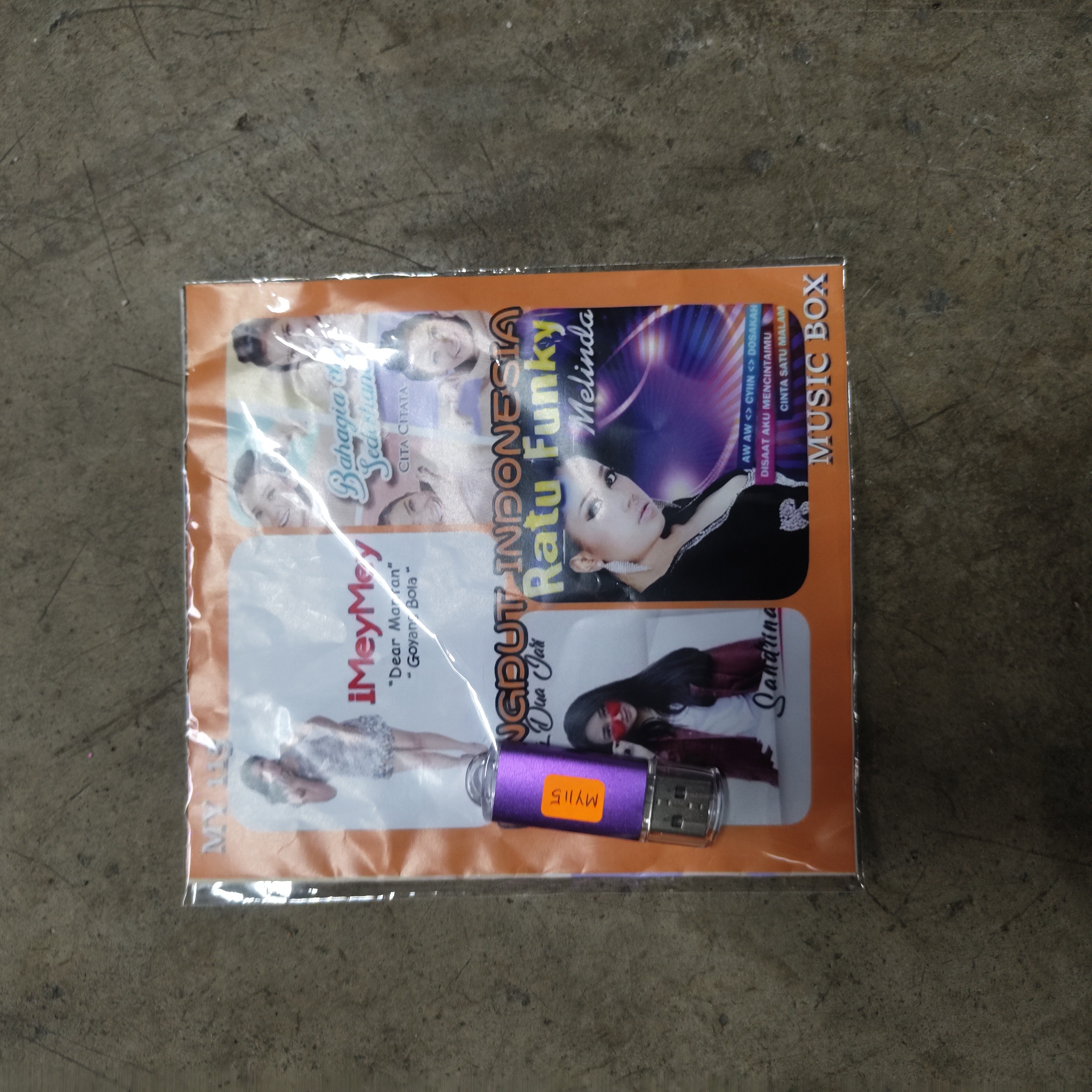 USB pendrive mp3 songs My 115-Dangdut Indonesia (Sandrina/Cita